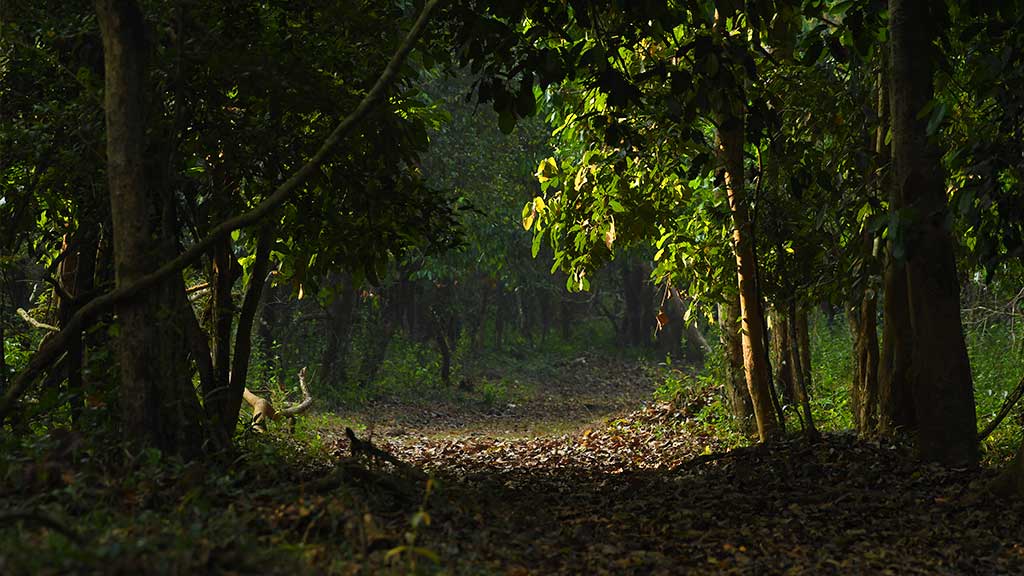 Aralam Wildlife Sanctuary