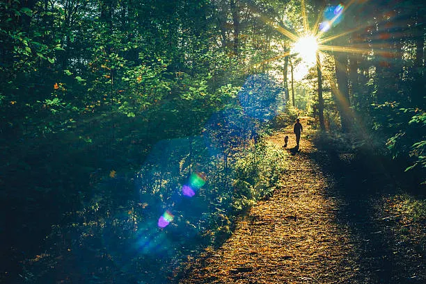 Nature Walks